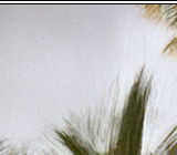 Always And Forever 03