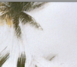 Always And Forever 04