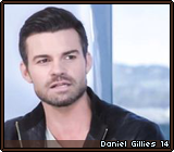 Daniel Gillies 14
