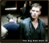 The Big Bad Wolf 14